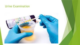 Urine Examination
 