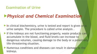 Examination of Urine
Physical and Chemical Examination
 In clinical biochemistry, urine is tested and report is given on a
urine sample. The procedure is called urine analysis .
 If the kidneys are not functioning properly, waste products can
accumulate in the blood, and fluid levels can increase to
dangerous volumes, causing damage to the body or a potentially
life-threatening situation.
 Numerous conditions and diseases can result in damage to the
kidneys.
 