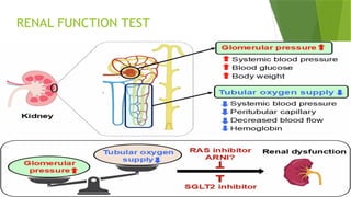 RENAL FUNCTION TEST
 