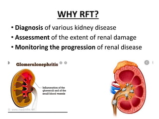 What Is Rft Renal function test for mbbs, bds, nursing, paramedics .pptx