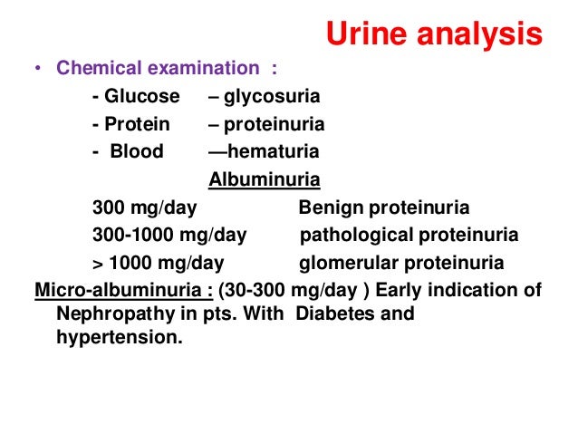 Renal Function Tests