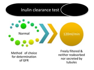 Normal
Method of choice
for determination
of GFR
120ml/min
Freely filtered &
neither reabsorbed
nor secreted by
tubules
Inulin clearance test
 