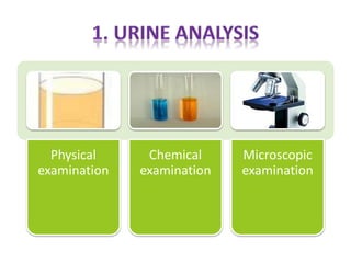Physical
examination
Chemical
examination
Microscopic
examination
 