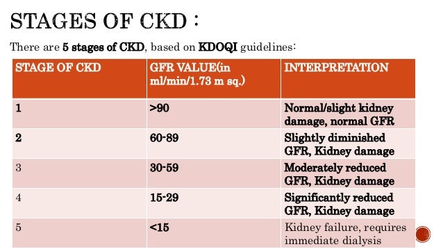gfr normal range