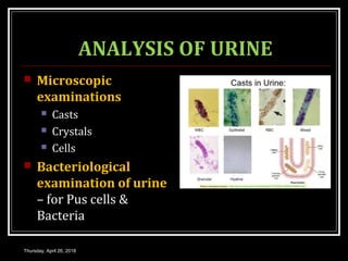 ANALYSIS OF URINE
 Microscopic
examinations
 Casts
 Crystals
 Cells
 Bacteriological
examination of urine
– for Pus cells &
Bacteria
Thursday, April 26, 2018
 