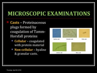 MICROSCOPIC EXAMINATIONS
 Casts – Proteinaceous
plugs formed by
coagulation of Tamm-
Horsfall proteins
 Cellular – coagulated
with protein material
 Non-cellular – hyaline
& granular casts.
Thursday, April 26, 2018
 