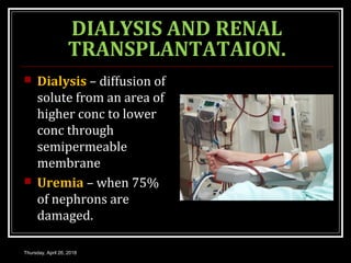 DIALYSIS AND RENAL
TRANSPLANTATAION.
 Dialysis – diffusion of
solute from an area of
higher conc to lower
conc through
semipermeable
membrane
 Uremia – when 75%
of nephrons are
damaged.
Thursday, April 26, 2018
 