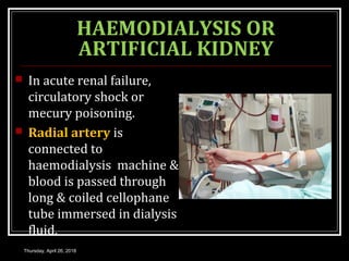 HAEMODIALYSIS OR
ARTIFICIAL KIDNEY
 In acute renal failure,
circulatory shock or
mecury poisoning.
 Radial artery is
connected to
haemodialysis machine &
blood is passed through
long & coiled cellophane
tube immersed in dialysis
fluid.
Thursday, April 26, 2018
 