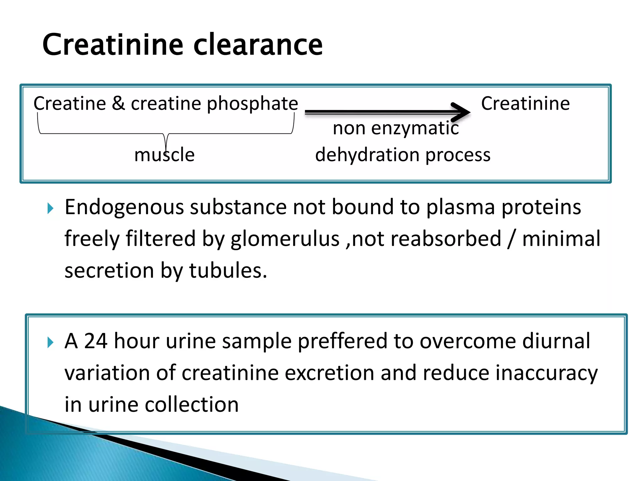 Creatinine clearance
Creatine & creatine phosphate Creatinine
non enzymatic
muscle dehydration process
 Endogenous substance not bound to plasma proteins
freely filtered by glomerulus ,not reabsorbed / minimal
secretion by tubules.
 A 24 hour urine sample preffered to overcome diurnal
variation of creatinine excretion and reduce inaccuracy
in urine collection
 