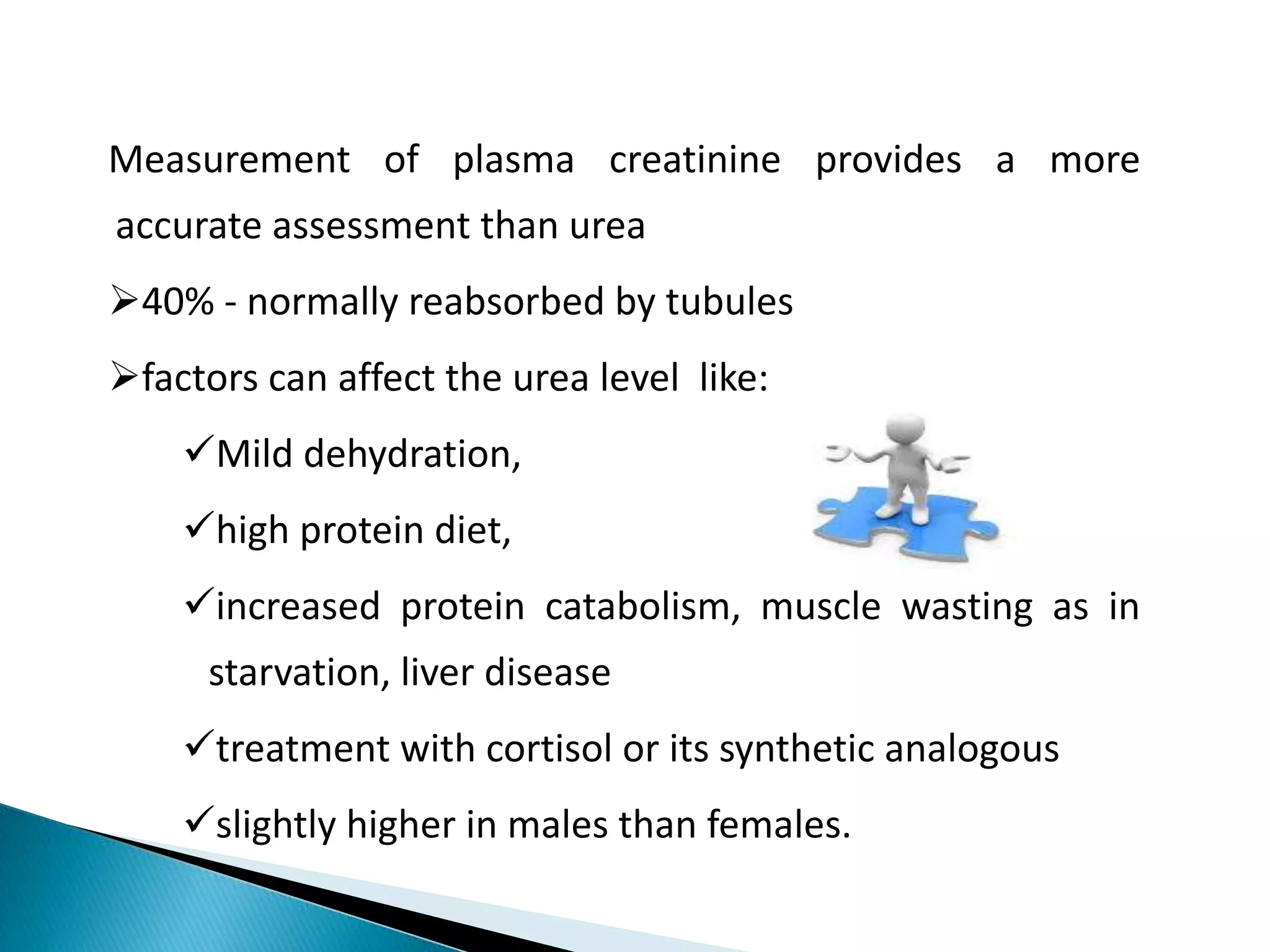 Measurement of plasma creatinine provides a more
accurate assessment than urea
40% - normally reabsorbed by tubules
factors can affect the urea level like:
Mild dehydration,
high protein diet,
increased protein catabolism, muscle wasting as in
starvation, liver disease
treatment with cortisol or its synthetic analogous
slightly higher in males than females.
 