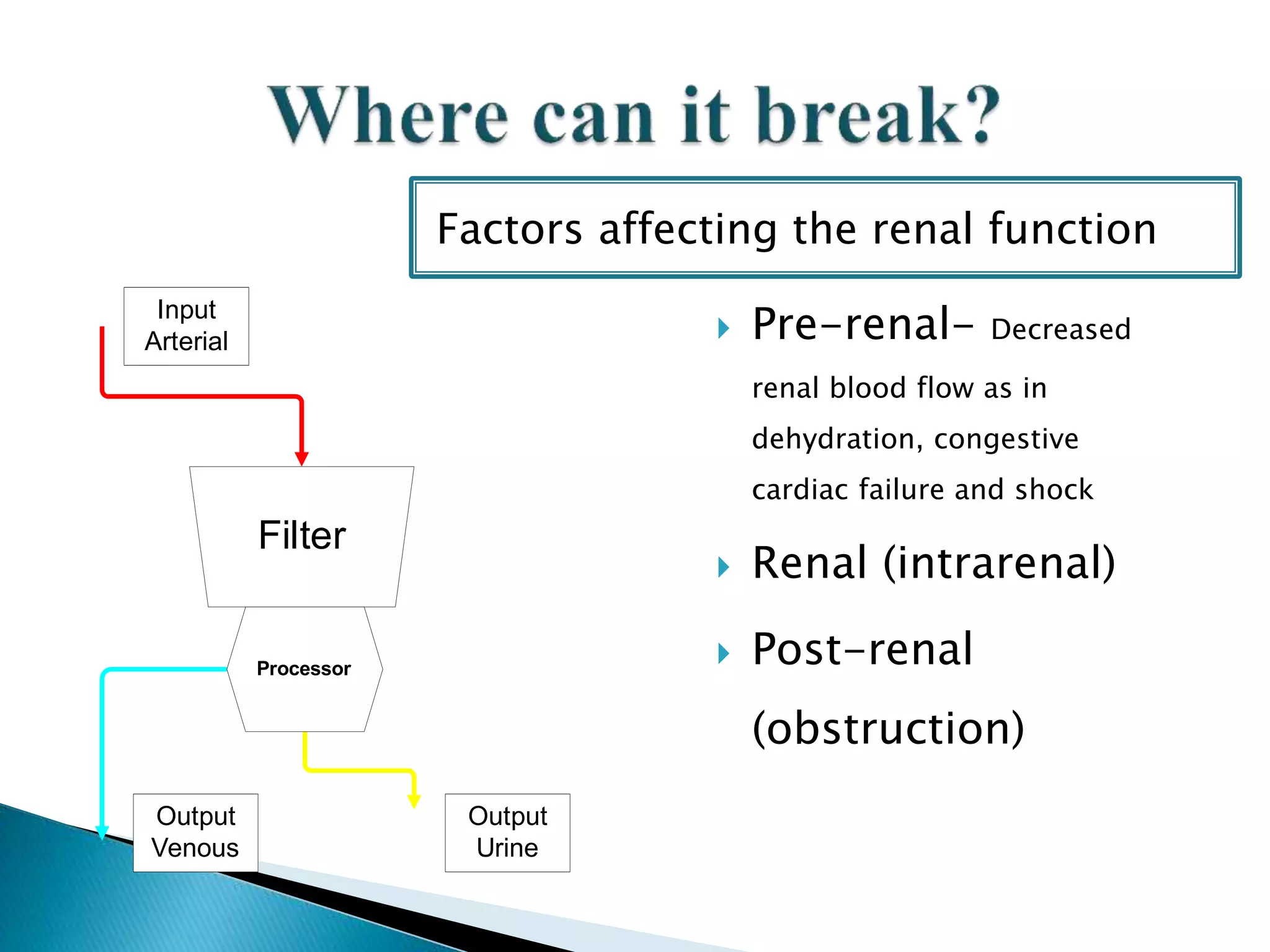  Pre-renal- Decreased
renal blood flow as in
dehydration, congestive
cardiac failure and shock
 Renal (intrarenal)
 Post-renal
(obstruction)
Filter
Processor
Input
Arterial
Output
Venous
Output
Urine
Factors affecting the renal function
 