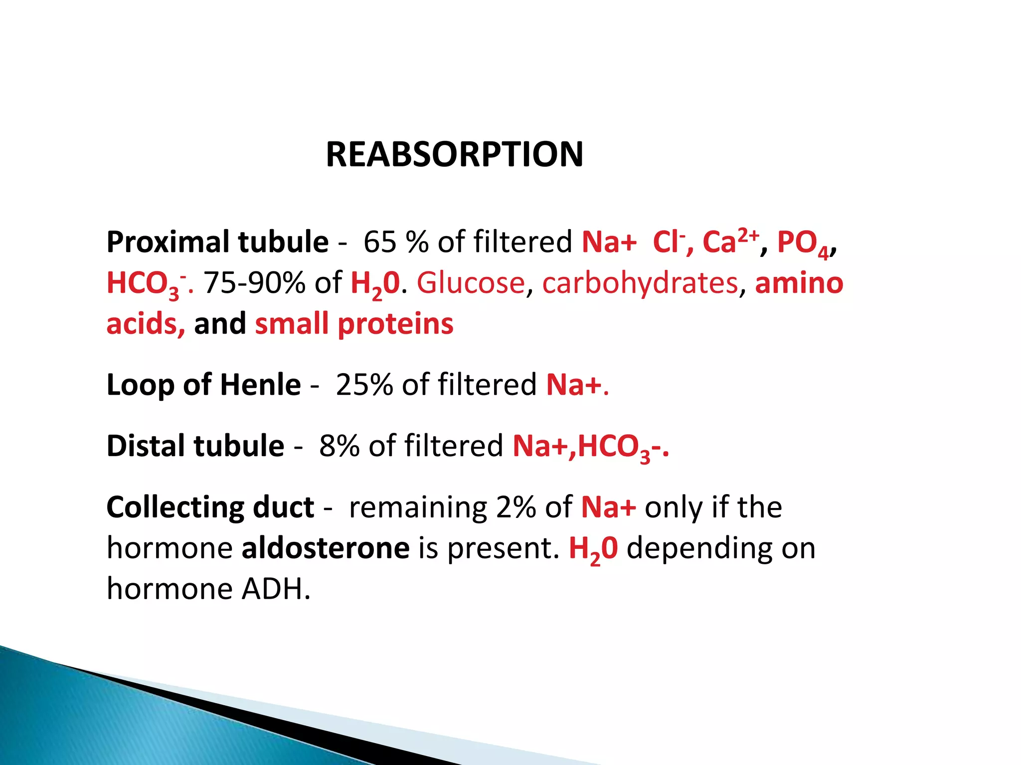 Proximal tubule - 65 % of filtered Na+ Cl-, Ca2+, PO4,
HCO3
-. 75-90% of H20. Glucose, carbohydrates, amino
acids, and small proteins
Loop of Henle - 25% of filtered Na+.
Distal tubule - 8% of filtered Na+,HCO3-.
Collecting duct - remaining 2% of Na+ only if the
hormone aldosterone is present. H20 depending on
hormone ADH.
REABSORPTION
 