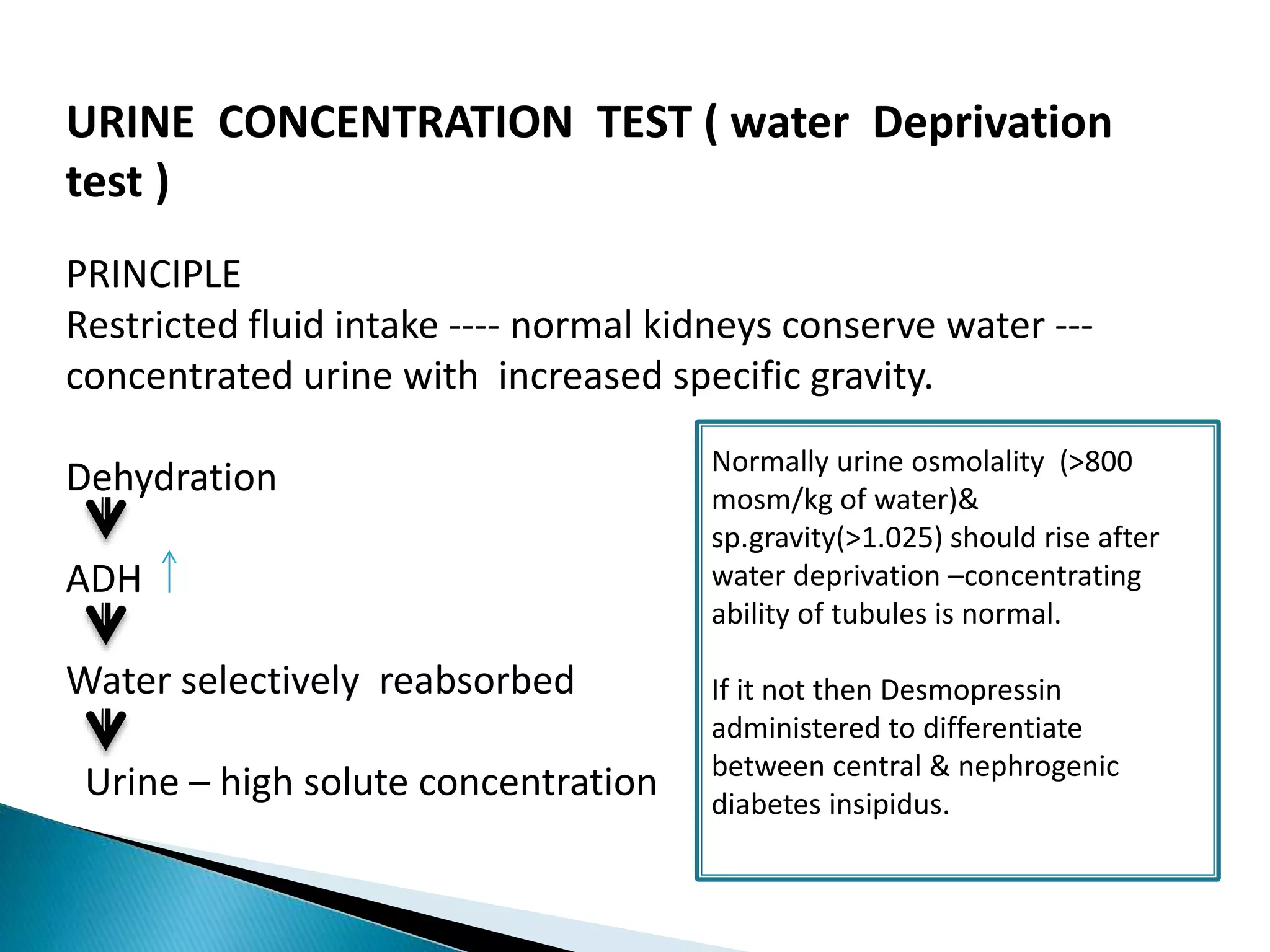 URINE CONCENTRATION TEST ( water Deprivation
test )
PRINCIPLE
Restricted fluid intake ---- normal kidneys conserve water ---
concentrated urine with increased specific gravity.
Dehydration
ADH
Water selectively reabsorbed
Urine – high solute concentration
Normally urine osmolality (>800
mosm/kg of water)&
sp.gravity(>1.025) should rise after
water deprivation –concentrating
ability of tubules is normal.
If it not then Desmopressin
administered to differentiate
between central & nephrogenic
diabetes insipidus.
 
