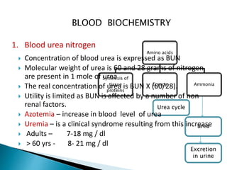 BLOOD BIOCHEMISTRY
1. Blood urea nitrogen
Amino acids
Synthesis of
tissue
proteins
Energy Ammonia
urea
Urea cycle
Excretion
in urine
 Concentration of blood urea is expressed as BUN
 Molecular weight of urea is 60 and 28 grams of nitrogen
are present in 1 mole of urea
 The real concentration of urea is BUN X (60/28).
 Utility is limited as BUN is affected by a number of non
renal factors.
 Azotemia – increase in blood level of urea
 Uremia – is a clinical syndrome resulting from this increase
 Adults – 7-18 mg / dl
 > 60 yrs - 8- 21 mg / dl
 