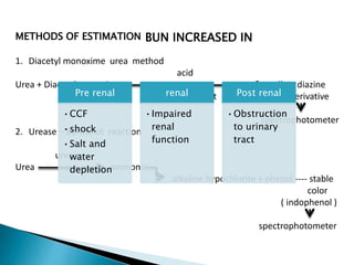 METHODS OF ESTIMATION
1. Diacetyl monoxime urea method
acid
Urea + Diacetyl monoxime yellow diazine
oxidising agent derivative
spectrophotometer
2. Urease – Berthelot reaction
urease
Urea ammonia
alkaline hypochlorite + phenol ---- stable
color
( indophenol )
spectrophotometer
Pre renal
•CCF
•shock
•Salt and
water
depletion
renal
•Impaired
renal
function
Post renal
•Obstruction
to urinary
tract
BUN INCREASED IN
 