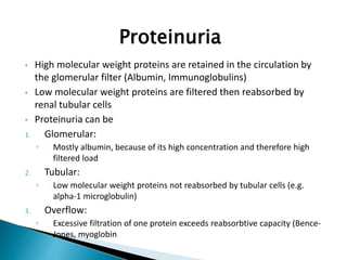 Proteinuria
• High molecular weight proteins are retained in the circulation by
the glomerular filter (Albumin, Immunoglobulins)
• Low molecular weight proteins are filtered then reabsorbed by
renal tubular cells
• Proteinuria can be
1. Glomerular:
◦ Mostly albumin, because of its high concentration and therefore high
filtered load
2. Tubular:
◦ Low molecular weight proteins not reabsorbed by tubular cells (e.g.
alpha-1 microglobulin)
3. Overflow:
◦ Excessive filtration of one protein exceeds reabsorbtive capacity (Bence-
Jones, myoglobin
 