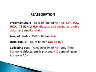 Proximal tubule - 65 % of filtered Na+ Cl-, Ca2+, PO4,
HCO3
-. 75-90% of H20. Glucose, carbohydrates, amino
acids, and small proteins
Loop of Henle - 25% of filtered Na+.
Distal tubule - 8% of filtered Na+,HCO3-.
Collecting duct - remaining 2% of Na+ only if the
hormone aldosterone is present. H20 depending on
hormone ADH.
REABSORPTION
 