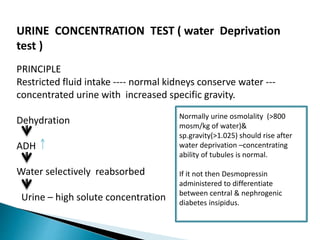 URINE CONCENTRATION TEST ( water Deprivation
test )
PRINCIPLE
Restricted fluid intake ---- normal kidneys conserve water ---
concentrated urine with increased specific gravity.
Dehydration
ADH
Water selectively reabsorbed
Urine – high solute concentration
Normally urine osmolality (>800
mosm/kg of water)&
sp.gravity(>1.025) should rise after
water deprivation –concentrating
ability of tubules is normal.
If it not then Desmopressin
administered to differentiate
between central & nephrogenic
diabetes insipidus.
 