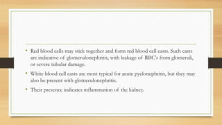 • Red blood cells may stick together and form red blood cell casts. Such casts
are indicative of glomerulonephritis, with leakage of RBC's from glomeruli,
or severe tubular damage.
• White blood cell casts are most typical for acute pyelonephritis, but they may
also be present with glomerulonephritis.
• Their presence indicates inflammation of the kidney.
 