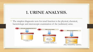 1. URINE ANALYSIS.
• The simplest diagnostic tests for renal function is the physical, chemical,
bacteriologic and microscopic examination of the (sediment) urine.
 