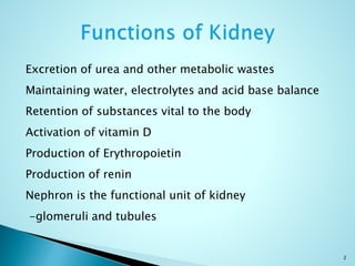Excretion of urea and other metabolic wastes
Maintaining water, electrolytes and acid base balance
Retention of substances vital to the body
Activation of vitamin D
Production of Erythropoietin
Production of renin
Nephron is the functional unit of kidney
-glomeruli and tubules
2
 