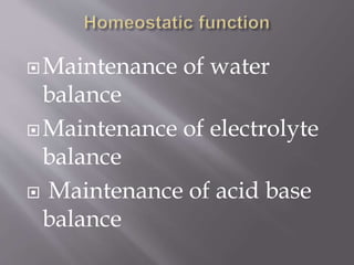 Maintenance of water
balance
Maintenance of electrolyte
balance
 Maintenance of acid base
balance
 