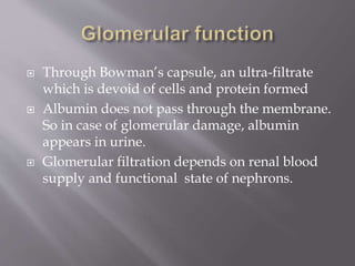  Through Bowman’s capsule, an ultra-filtrate
which is devoid of cells and protein formed
 Albumin does not pass through the membrane.
So in case of glomerular damage, albumin
appears in urine.
 Glomerular filtration depends on renal blood
supply and functional state of nephrons.
 