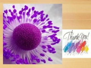 RENAL FUNCTION TESTS FOR PARAMEDICAL AND MEDICAL STUDENTS