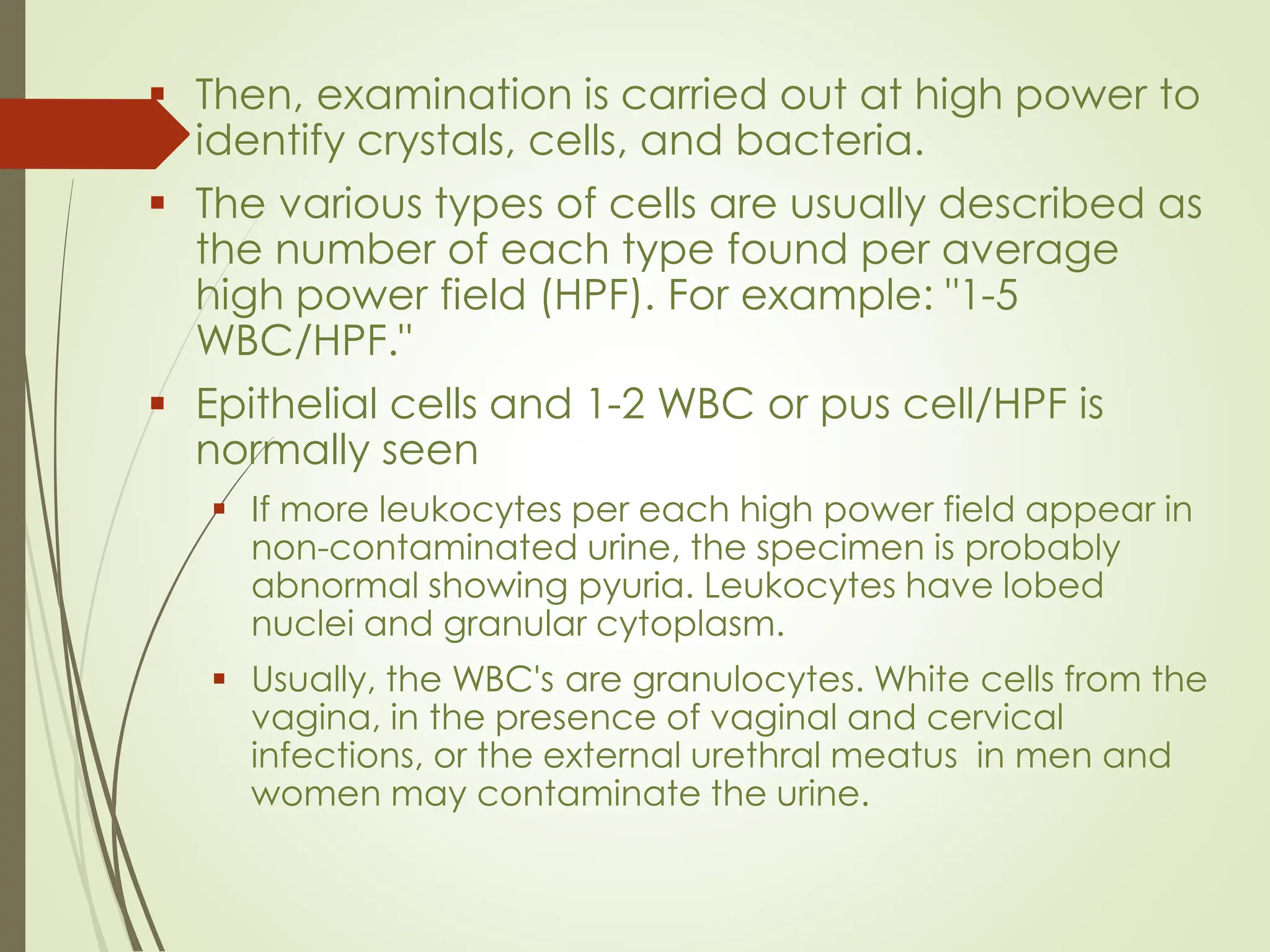 ▪ Then, examination is carried out at high power to
identify crystals, cells, and bacteria.
▪ The various types of cells are usually described as
the number of each type found per average
high power field (HPF). For example: "1-5
WBC/HPF."
▪ Epithelial cells and 1-2 WBC or pus cell/HPF is
normally seen
▪ If more leukocytes per each high power field appear in
non-contaminated urine, the specimen is probably
abnormal showing pyuria. Leukocytes have lobed
nuclei and granular cytoplasm.
▪ Usually, the WBC's are granulocytes. White cells from the
vagina, in the presence of vaginal and cervical
infections, or the external urethral meatus in men and
women may contaminate the urine.
 