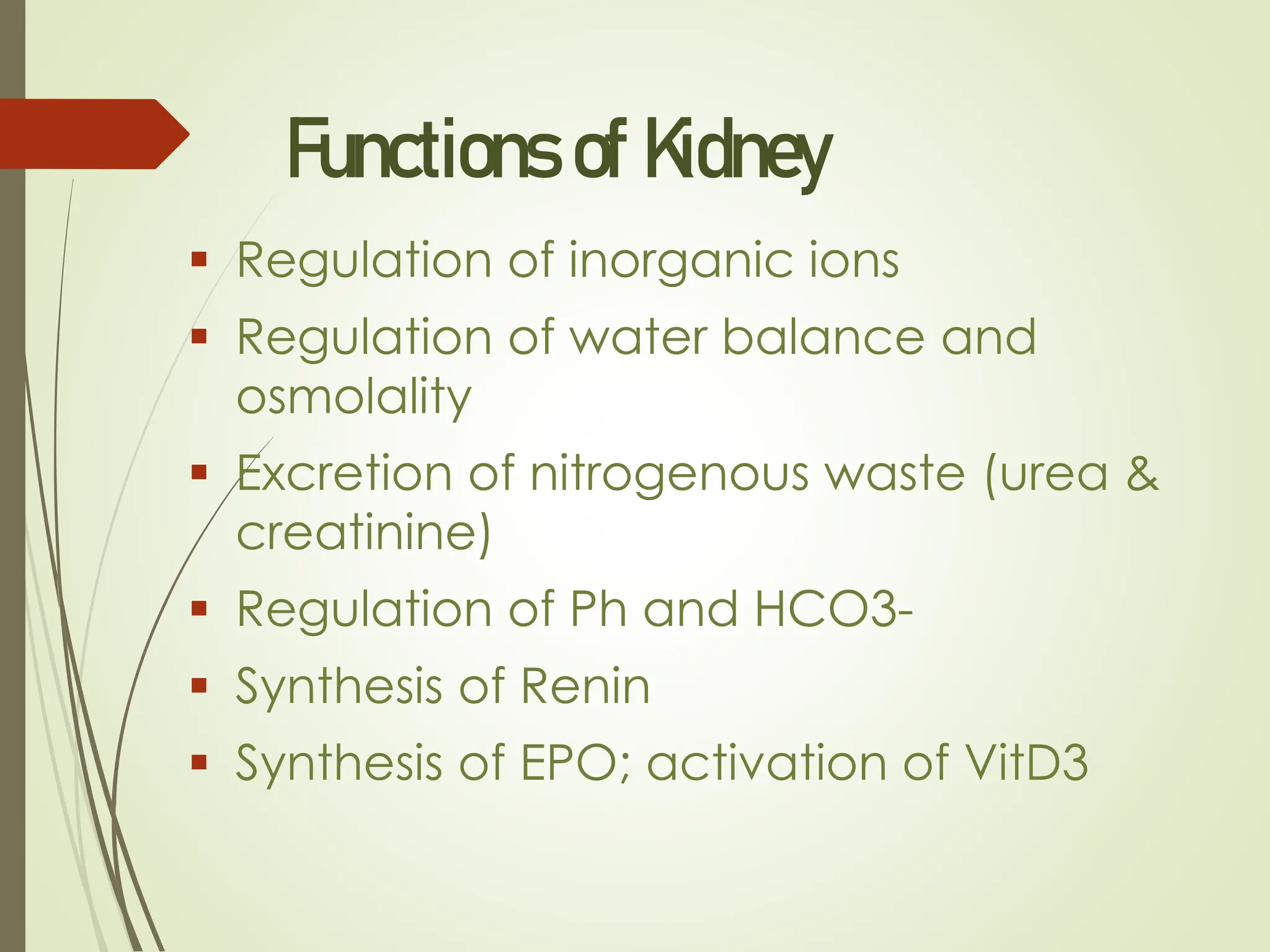 Functions of Kidney
▪ Regulation of inorganic ions
▪ Regulation of water balance and
osmolality
▪ Excretion of nitrogenous waste (urea &
creatinine)
▪ Regulation of Ph and HCO3-
▪ Synthesis of Renin
▪ Synthesis of EPO; activation of VitD3
 