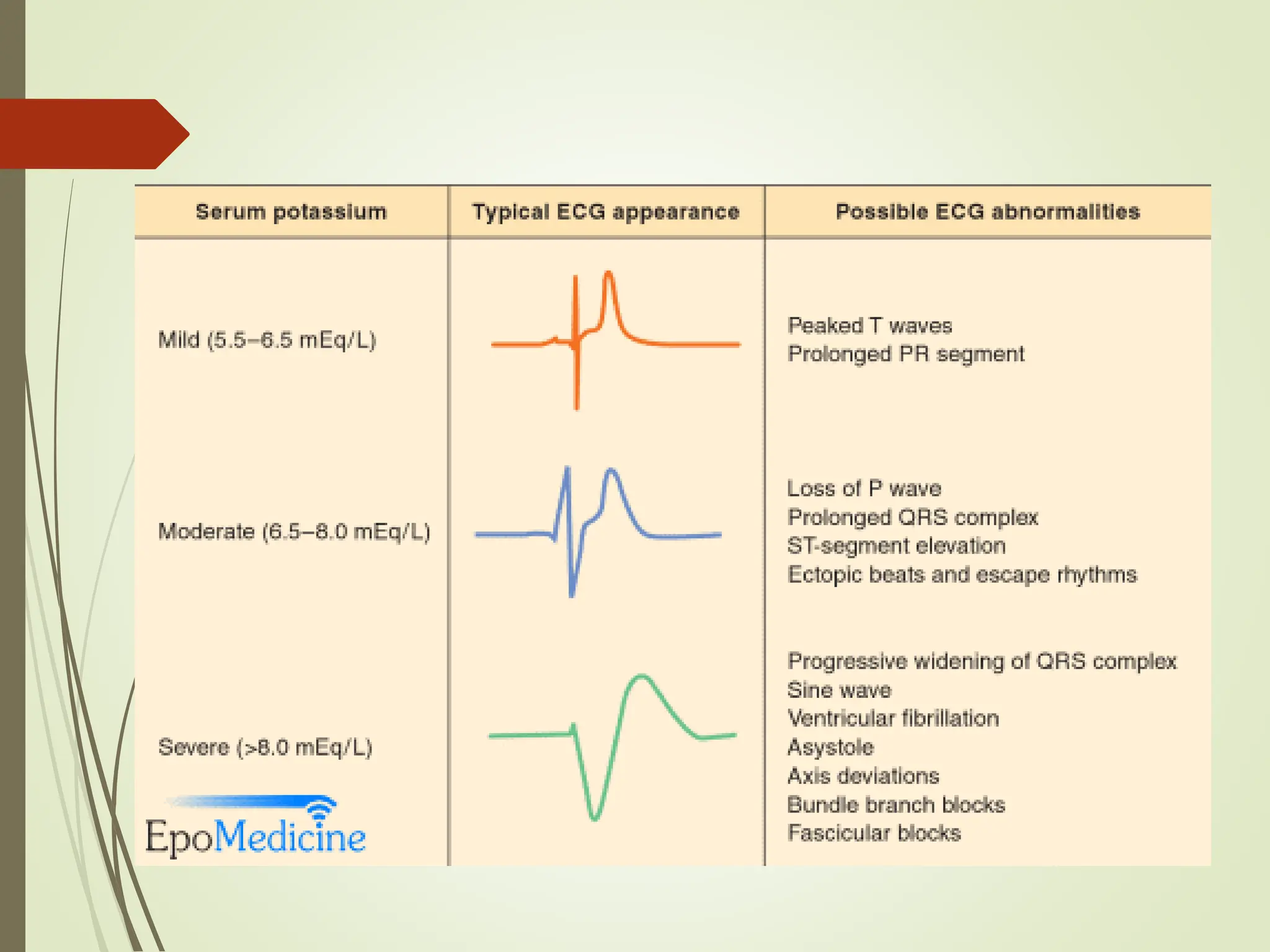 Interpretation of Renal Function Tests UG