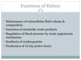 Functions of Kidney
 Maintenance of extracellular fluid volume &
composition
 Excretion of metabolic waste products
 Regulation of blood pressure by renin angiotensin
mechanism.
 Synthesis of erythropoietin
 Production of vit.D3 (active form)
 