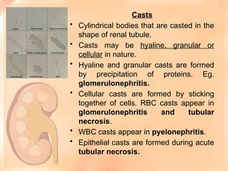 This is a ppt on the renal function tests | PPTX