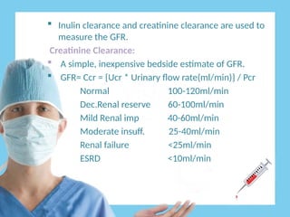 Comprehensive Overview of Renal Function Tests and Their Clinical ...