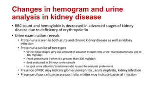 Changes in hemogram and urine
analysis in kidney disease
• RBC count and hemoglobin is decreased in advanced stages of kidney
disease due to deficiency of erythropoietin
• Urine examination reveals
• Proteinuria is seen in both acute and chronic kidney disease as well as kidney
infection
• Proteinuria can be of two types
• In the initial stages very less amount of albumin escapes into urine; microalbuminuria (30 to
300 mg/day)
• Frank proteinuria ( when it is greater than 300 mg/day)
• Best evaluated in 24 hour urine sample
• In spot urine albumin/ creatinine ratio is used to evaluate proteinuria
• Presence of RBC may indicate glomerulonephritis , acute nephritis, kidney infection
• Presence of pus cells, esterase positivity, nitrites may indicate bacterial infection
 