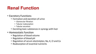 Renal Function
• Excretory Functions
• Formation and excretion of urine
• Glomerular filtration
• Tubular reabsorption
• Tubular secretion
• Excreting toxic substances in synergy with liver
• Homeostatic function
• Regulation of blood volume
• Regulation of blood pH
• Regulation of serum electrolytes; Na, K, Cl and Ca
• Reabsorption of essential nutrients
 