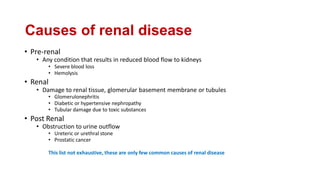 Causes of renal disease
• Pre-renal
• Any condition that results in reduced blood flow to kidneys
• Severe blood loss
• Hemolysis
• Renal
• Damage to renal tissue, glomerular basement membrane or tubules
• Glomerulonephritis
• Diabetic or hypertensive nephropathy
• Tubular damage due to toxic substances
• Post Renal
• Obstruction to urine outflow
• Ureteric or urethral stone
• Prostatic cancer
This list not exhaustive, these are only few common causes of renal disease
 