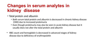 Changes in serum analytes in
kidney disease
• Total protein and albumin
• Both serum total protein and albumin is decreased in chronic kidney disease
(CKD) due to increased proteinuria
• Even though proteinuria may also be seen in acute kidney disease but it
usually does not alter the total protein and albumin
• RBC count and hemoglobin is decreased in advanced stages of kidney
disease due to deficiency of erythropoietin
 