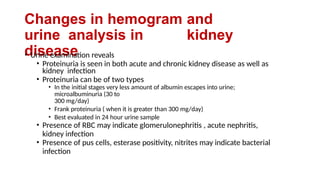 Changes in hemogram and
urine analysis in kidney
disease
• Urine examination reveals
• Proteinuria is seen in both acute and chronic kidney disease as well as
kidney infection
• Proteinuria can be of two types
• In the initial stages very less amount of albumin escapes into urine;
microalbuminuria (30 to
300 mg/day)
• Frank proteinuria ( when it is greater than 300 mg/day)
• Best evaluated in 24 hour urine sample
• Presence of RBC may indicate glomerulonephritis , acute nephritis,
kidney infection
• Presence of pus cells, esterase positivity, nitrites may indicate bacterial
infection
 