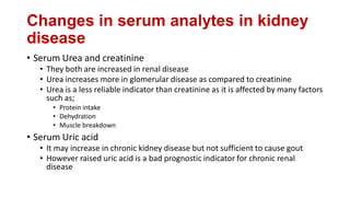 Changes in serum analytes in kidney
disease
• Serum Urea and creatinine
• They both are increased in renal disease
• Urea increases more in glomerular disease as compared to creatinine
• Urea is a less reliable indicator than creatinine as it is affected by many factors
such as;
• Protein intake
• Dehydration
• Muscle breakdown
• Serum Uric acid
• It may increase in chronic kidney disease but not sufficient to cause gout
• However raised uric acid is a bad prognostic indicator for chronic renal
disease
 