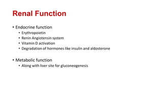 Renal Function
• Endocrine function
• Erythropoietin
• Renin Angiotensin system
• Vitamin D activation
• Degradation of hormones like insulin and aldosterone
• Metabolic function
• Along with liver site for gluconeogenesis
 