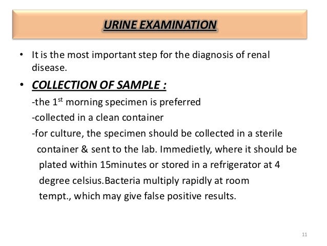 Renal Function Tests By Dr Ankur Puri