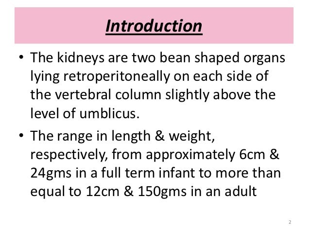 Renal Function Tests By Dr Ankur Puri