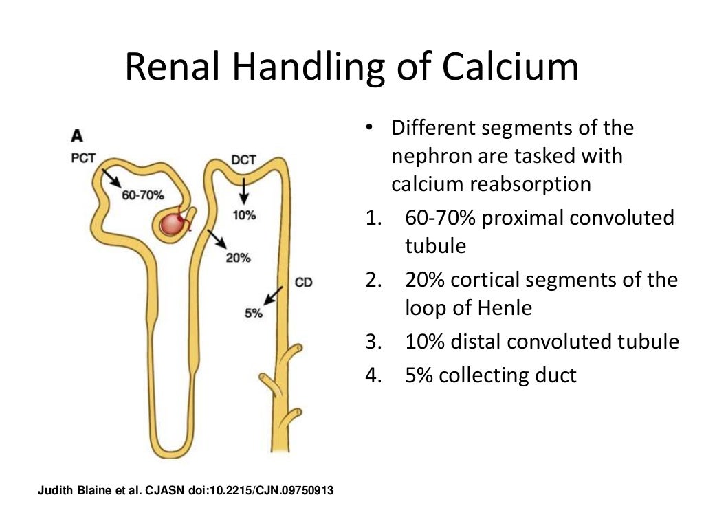 Renal handling of Calcium, Phosphorus and Magnesium