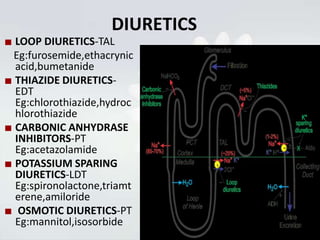 Fast Work Diuretics Renal handling of potassium ions | PPTX