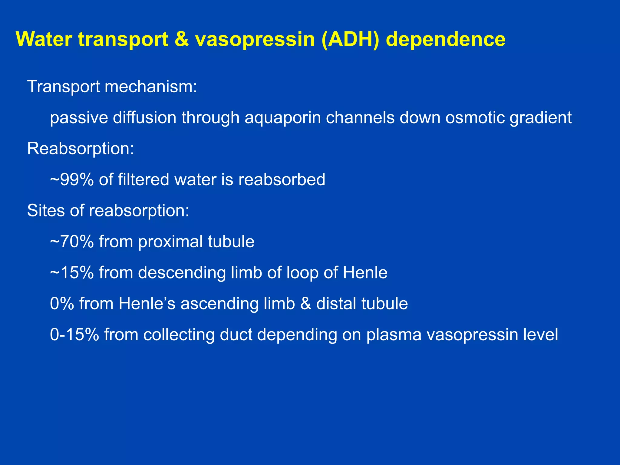 Water transport & vasopressin (ADH) dependence
Transport mechanism:
passive diffusion through aquaporin channels down osmotic gradient
Reabsorption:
~99% of filtered water is reabsorbed
Sites of reabsorption:
~70% from proximal tubule

~15% from descending limb of loop of Henle
0% from Henle’s ascending limb & distal tubule
0-15% from collecting duct depending on plasma vasopressin level

 
