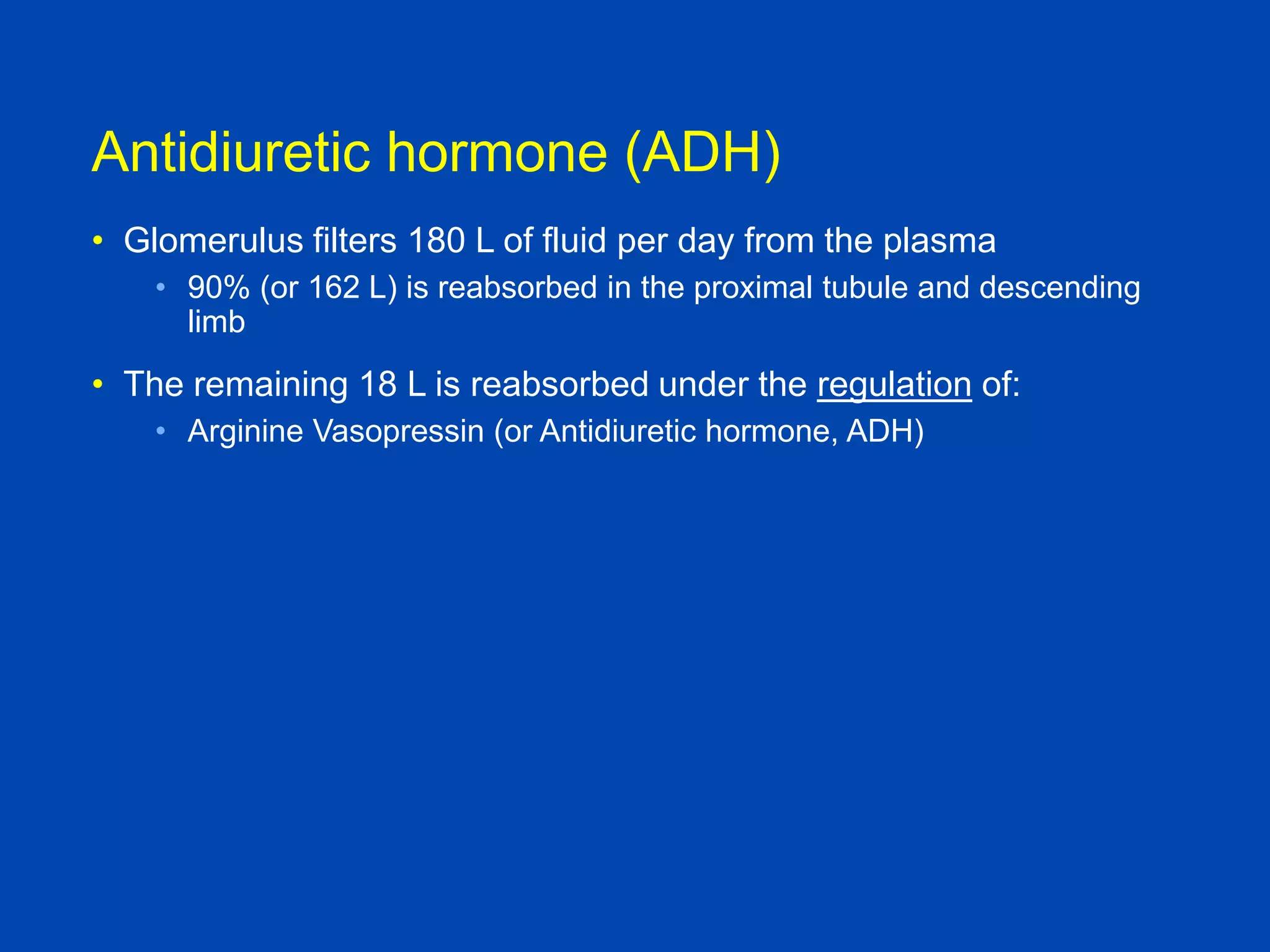 Antidiuretic hormone (ADH)
• Glomerulus filters 180 L of fluid per day from the plasma
• 90% (or 162 L) is reabsorbed in the proximal tubule and descending
limb

• The remaining 18 L is reabsorbed under the regulation of:
• Arginine Vasopressin (or Antidiuretic hormone, ADH)

Brenner and Rector, 9th edition

 
