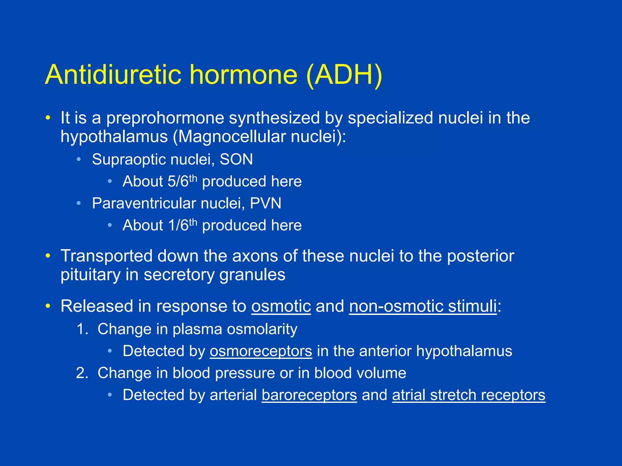 Antidiuretic hormone (ADH)
• It is a preprohormone synthesized by specialized nuclei in the
hypothalamus (Magnocellular nuclei):
• Supraoptic nuclei, SON
• About 5/6th produced here
• Paraventricular nuclei, PVN
• About 1/6th produced here

• Transported down the axons of these nuclei to the posterior
pituitary in secretory granules
• Released in response to osmotic and non-osmotic stimuli:
1. Change in plasma osmolarity
• Detected by osmoreceptors in the anterior hypothalamus
2. Change in blood pressure or in blood volume
• Detected by arterial baroreceptors and atrial stretch receptors
Brenner and Rector, 9th edition
Textbook of Medical Physiology, Guyton and
Hall, 10th edition

 