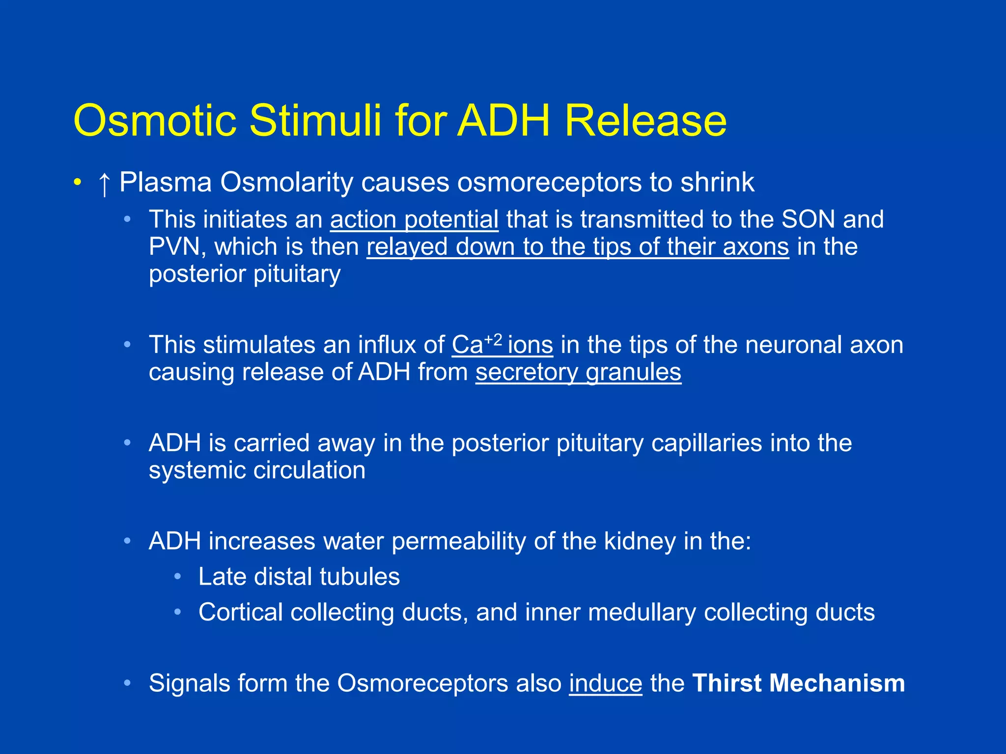 Osmotic Stimuli for ADH Release
• ↑ Plasma Osmolarity causes osmoreceptors to shrink
• This initiates an action potential that is transmitted to the SON and
PVN, which is then relayed down to the tips of their axons in the
posterior pituitary
• This stimulates an influx of Ca+2 ions in the tips of the neuronal axon
causing release of ADH from secretory granules

• ADH is carried away in the posterior pituitary capillaries into the
systemic circulation
• ADH increases water permeability of the kidney in the:
• Late distal tubules
• Cortical collecting ducts, and inner medullary collecting ducts
• Signals form the Osmoreceptors also induce the Thirst Mechanism
Brenner and Rector, 9th edition
Textbook of Medical Physiology, Guyton and
Hall, 10th edition

 