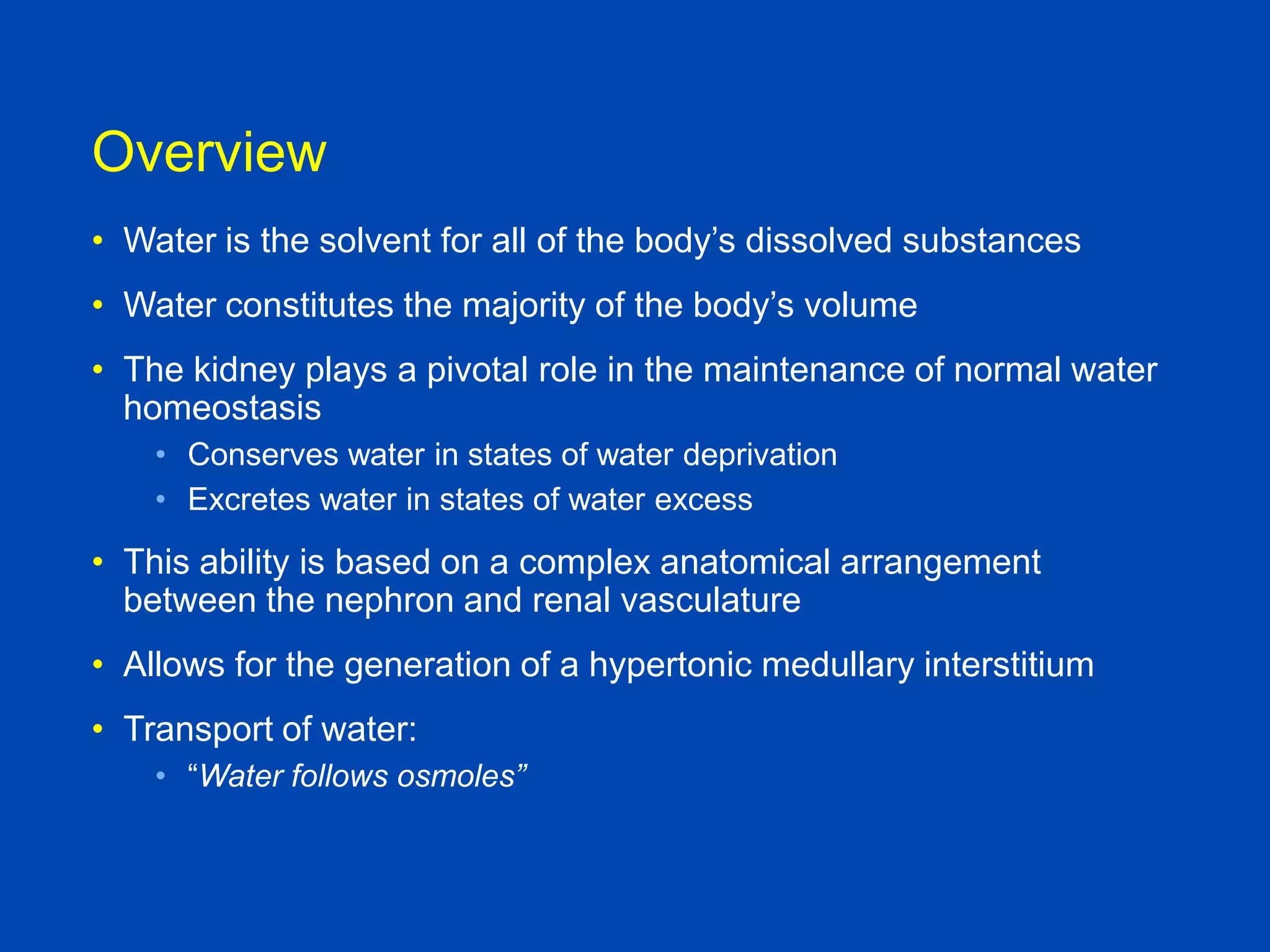 Overview
• Water is the solvent for all of the body’s dissolved substances
• Water constitutes the majority of the body’s volume
• The kidney plays a pivotal role in the maintenance of normal water
homeostasis
• Conserves water in states of water deprivation
• Excretes water in states of water excess

• This ability is based on a complex anatomical arrangement
between the nephron and renal vasculature
• Allows for the generation of a hypertonic medullary interstitium
• Transport of water:
• “Water follows osmoles”

Brenner and Rector, 9th edition

 